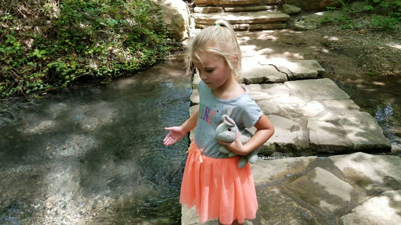 Minnows, Sticks, and Little Explorers Minnows, Sticks, and Little Explorers