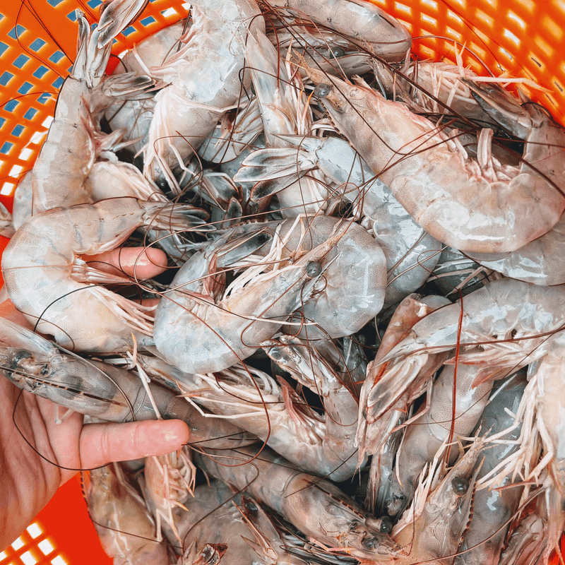 Miss Gina's Fresh Shrimp, Beaufort, NC