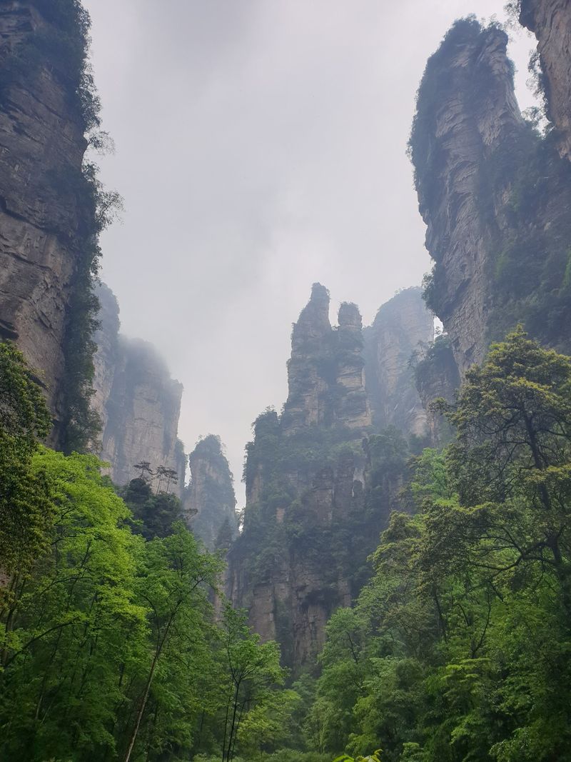 Misty Weather Magic Misty Weather Magic