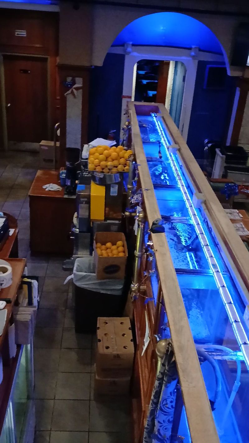Model Trains, Fish Tanks, and Plenty to Look At