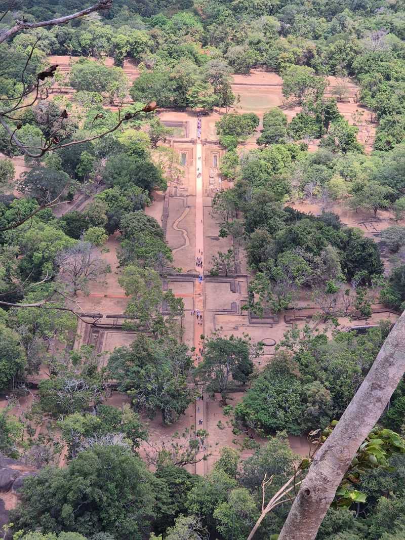 Monkeys, Dogs and Other Locals