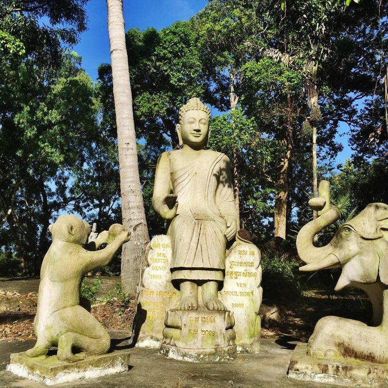 Monkeys Hanging Around the Grounds Monkeys Hanging Around the Grounds