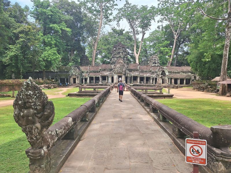 Monkeys and Other Wild Neighbors