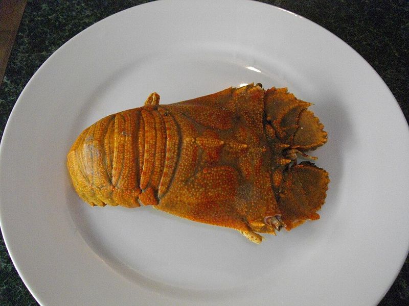 Moreton Bay Bugs Moreton Bay Bugs