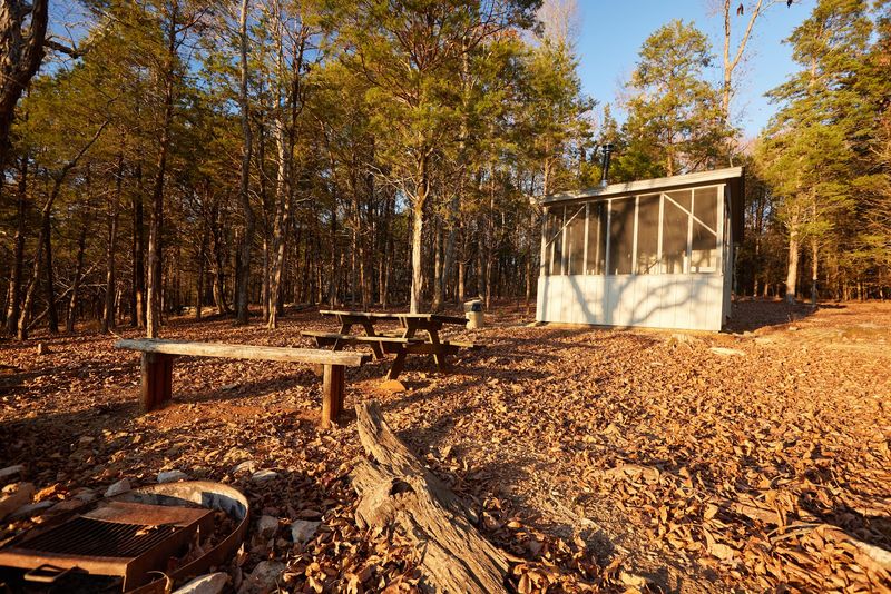 Moss-Covered Trails and Backcountry Shelters