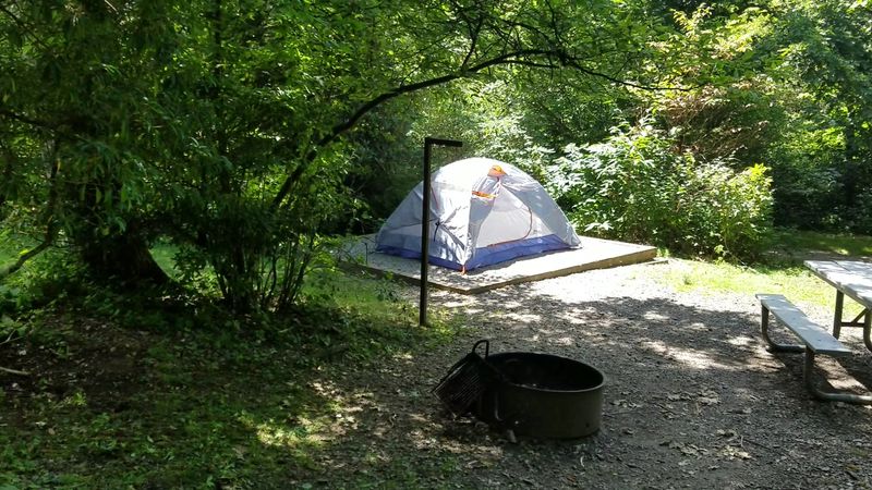Mount Pisgah Campground, Canton, NC Mount Pisgah Campground, Canton, NC