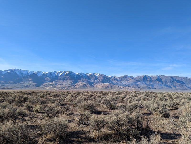 Mountain Views and Open Desert