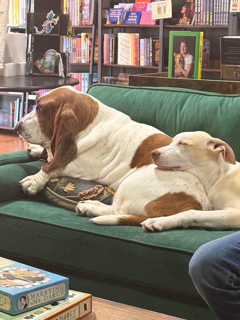 Mr. Darcy, Ms. Lizzie, and Mr. Bingley