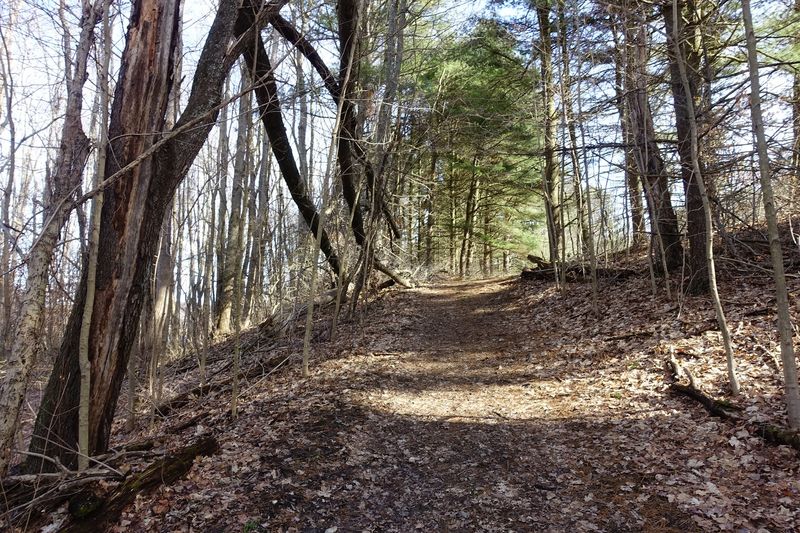 Mud Season Rules and Boot Wisdom Mud Season Rules and Boot Wisdom
