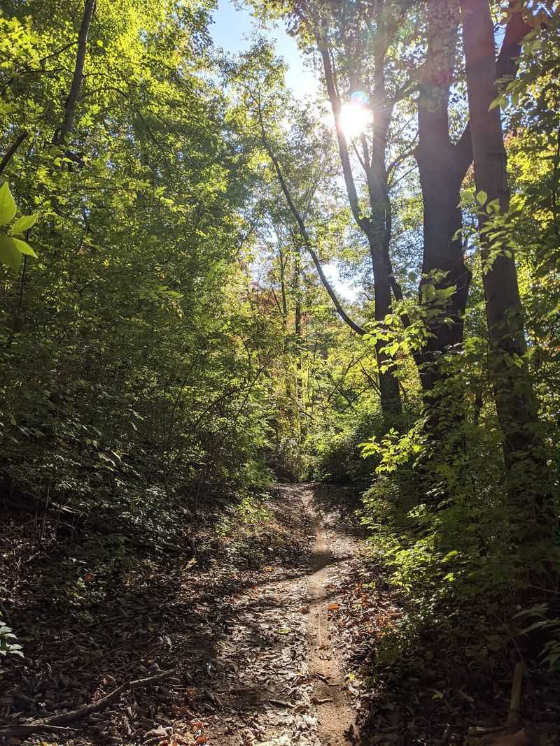 Mud Season and Other Smart Timing Mud Season and Other Smart Timing