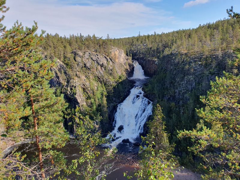 Muddus/Muttos National Park, Sweden Muddus/Muttos National Park, Sweden
