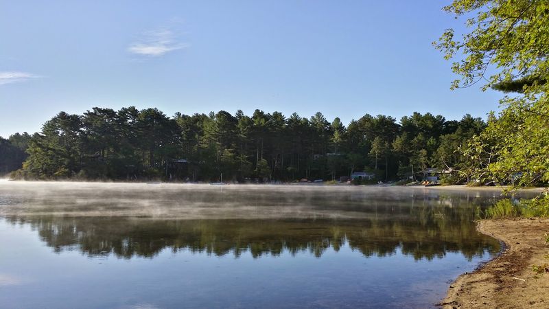 Myles Standish State Forest, Carver, MA Myles Standish State Forest, Carver, MA