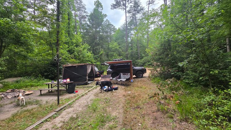 NFS Campsites