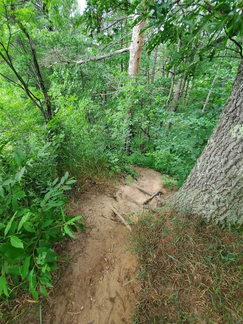 Narrow Paths for Dirt Bikes