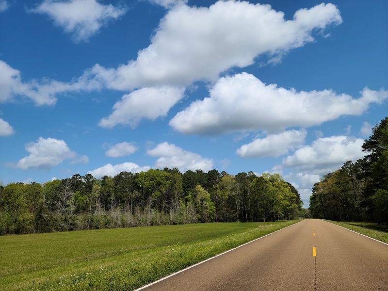 Natchez Trace Parkway, Natchez, Mississippi Natchez Trace Parkway, Natchez, Mississippi
