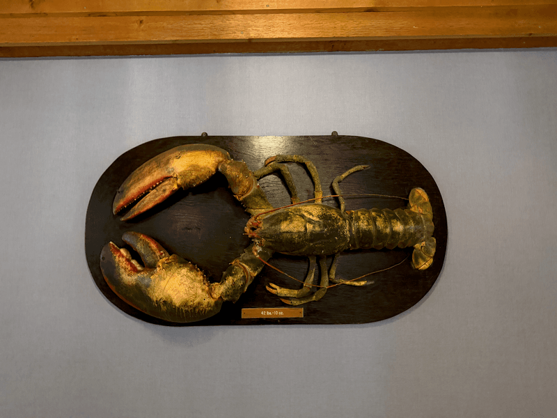 Nautical Details Indoors Nautical Details Indoors