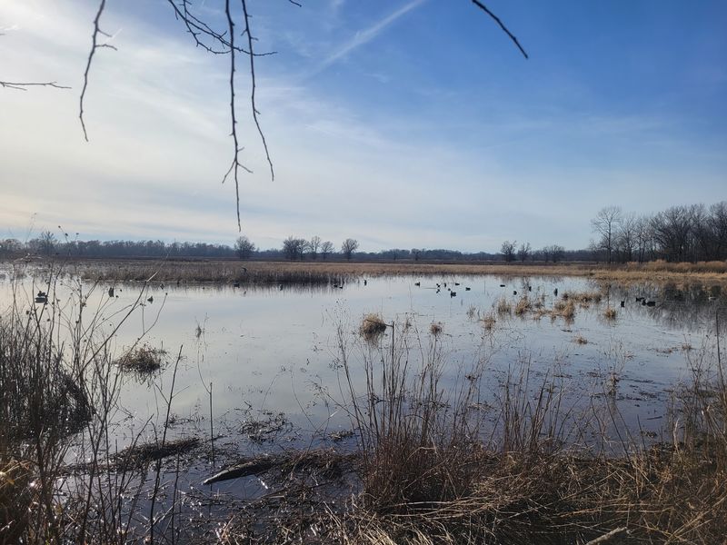 Neosho Wildlife Area, St. Paul, Kansas