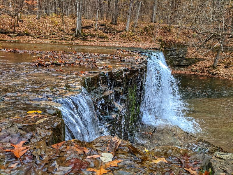 Nerstrand Big Woods State Park