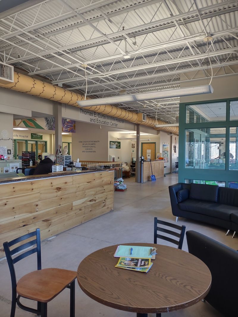 New England Wildlife Center, Weymouth, MA