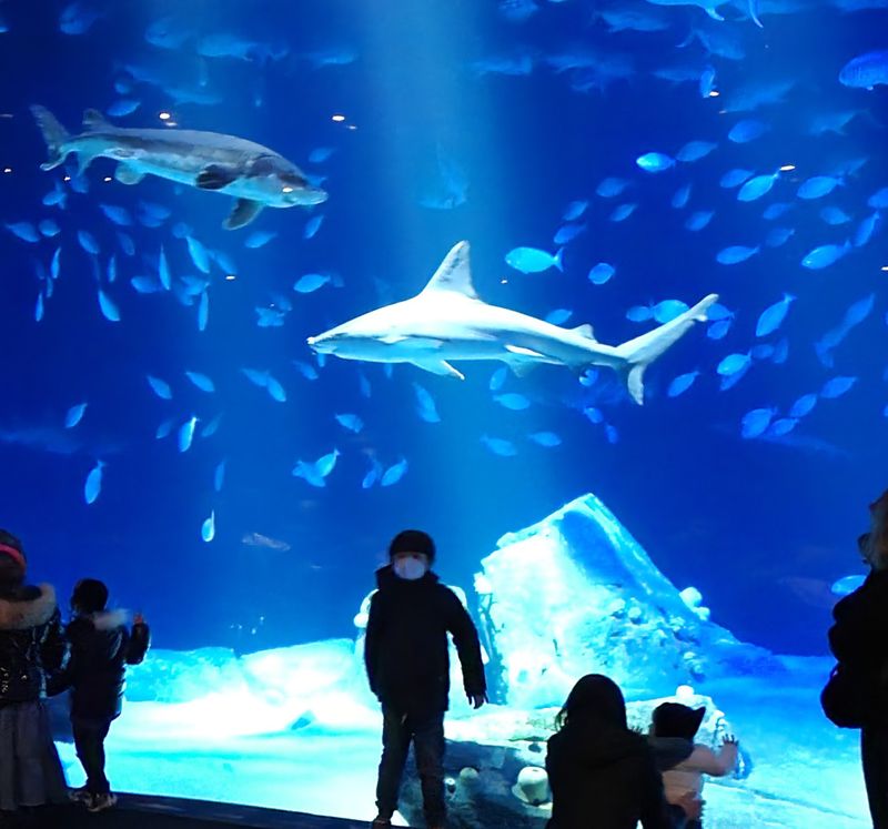 New York Aquarium, Brooklyn, New York New York Aquarium, Brooklyn, New York