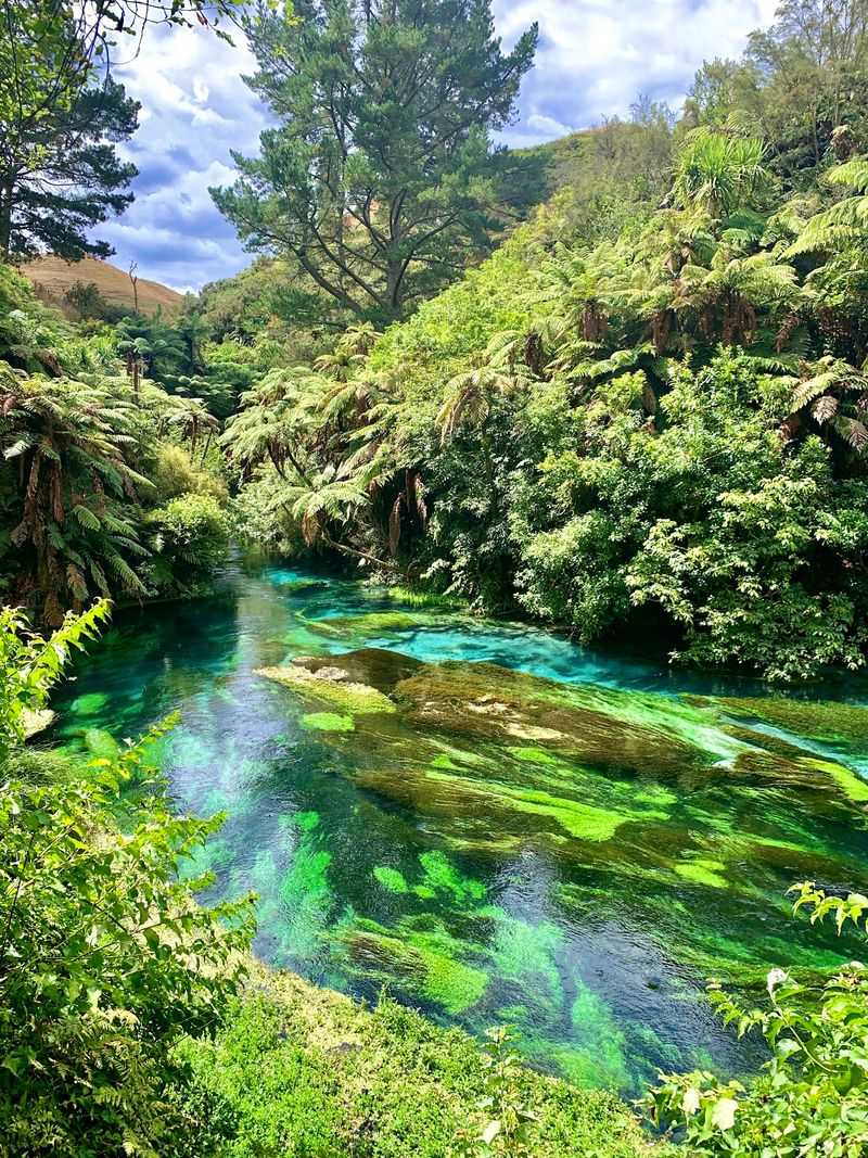 New Zealand: Spring Beauty During Northern Fall