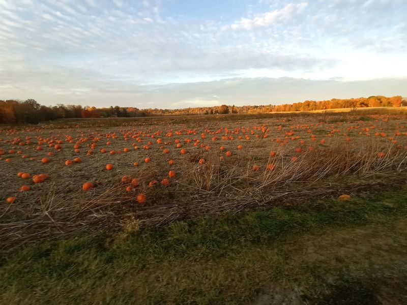 Nickajack Farms Nickajack Farms
