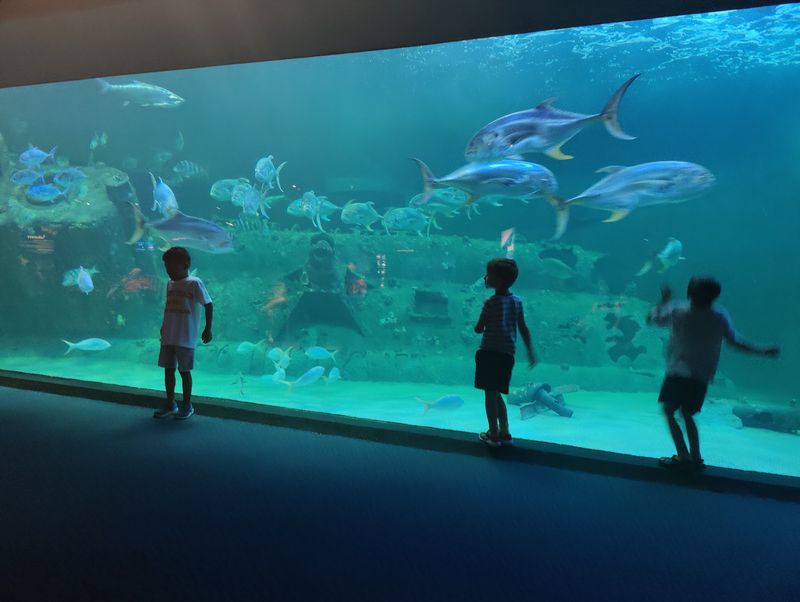 North Carolina Aquarium at Pine Knoll Shores, Pine Knoll Shores, NC