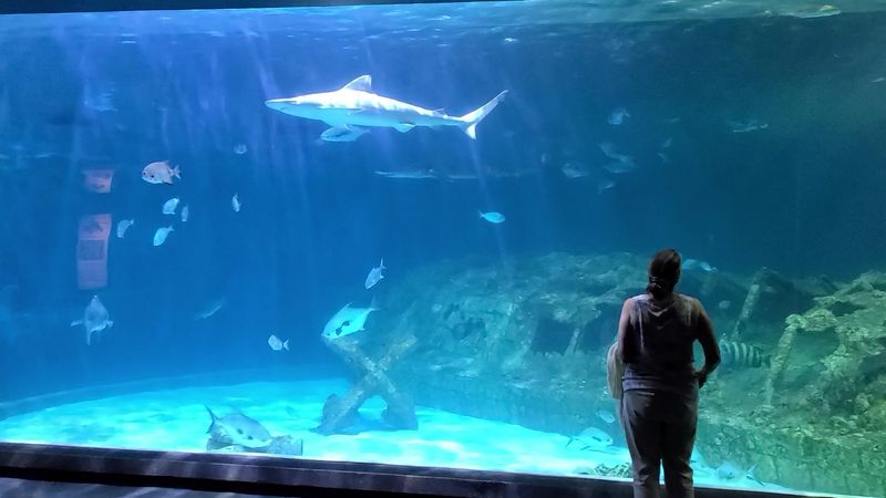 North Carolina Aquarium on Roanoke Island, Manteo, NC