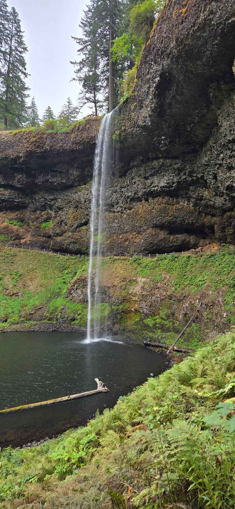 North Falls and the Calmer Side