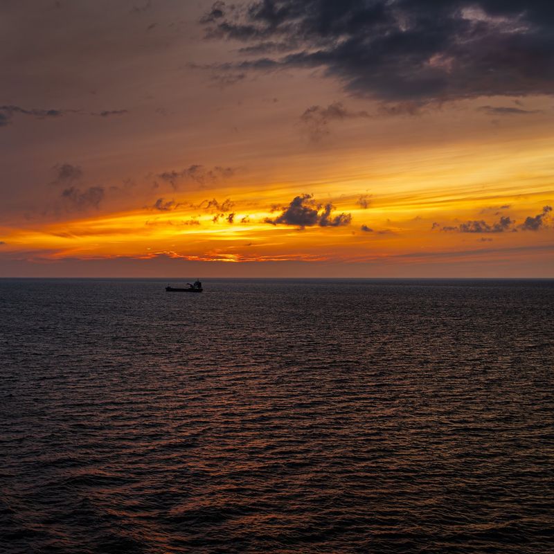Norwegian Sea