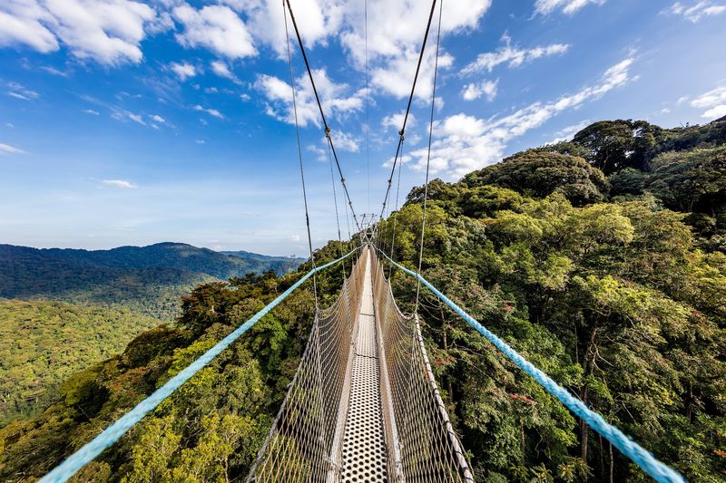 Nyungwe National Park, Rwanda