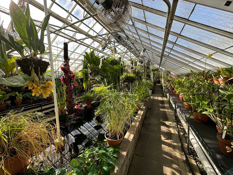 Old Glass, Living Classroom