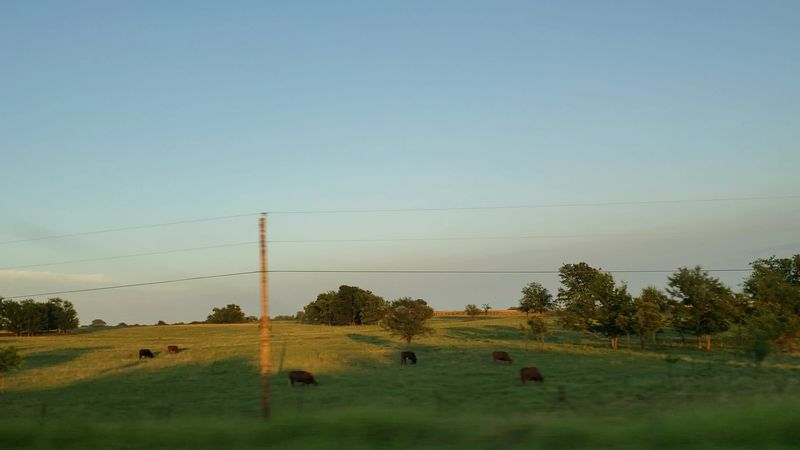 Old Order families established the community near Chouteau Old Order families established the community near Chouteau