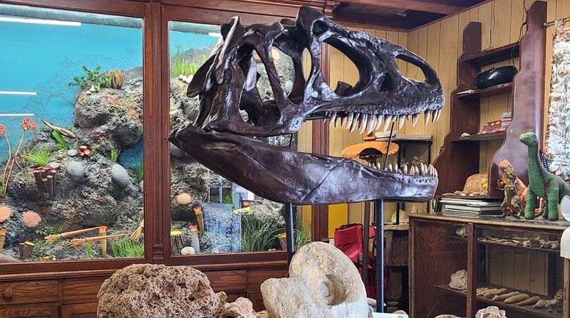 Old Treasures in the Little Museum