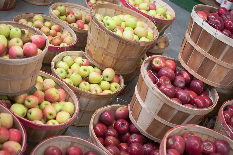 One Hundred Apple Varieties Through the Season One Hundred Apple Varieties Through the Season