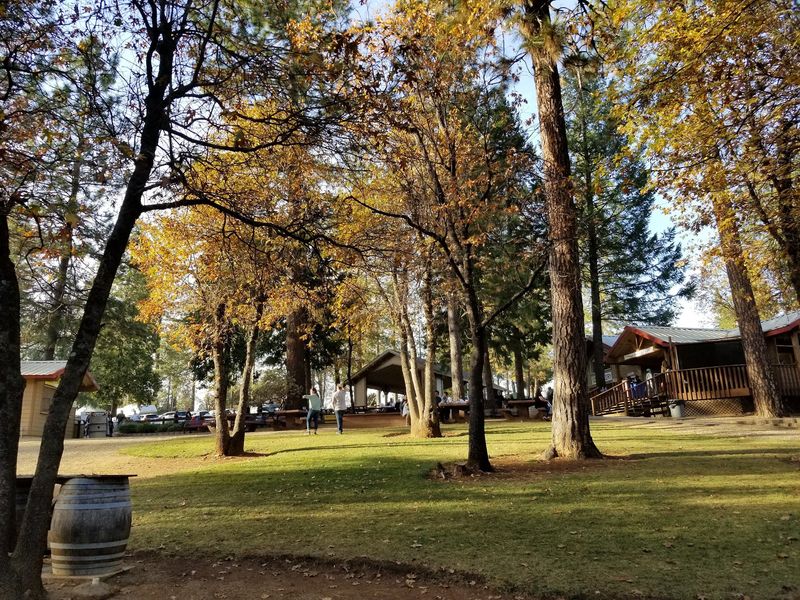 Orchards, Shade, and Open Space