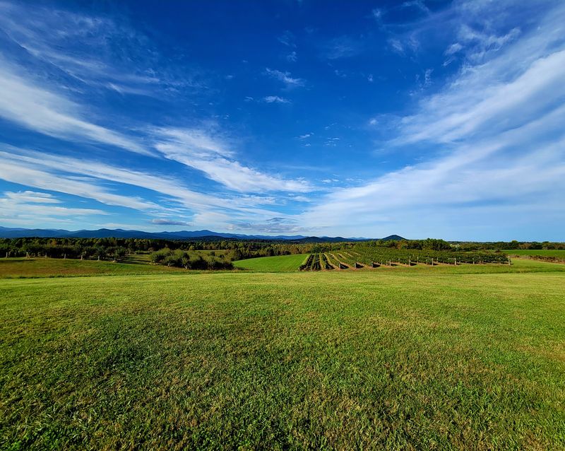 Overnight Stays Under the Stars