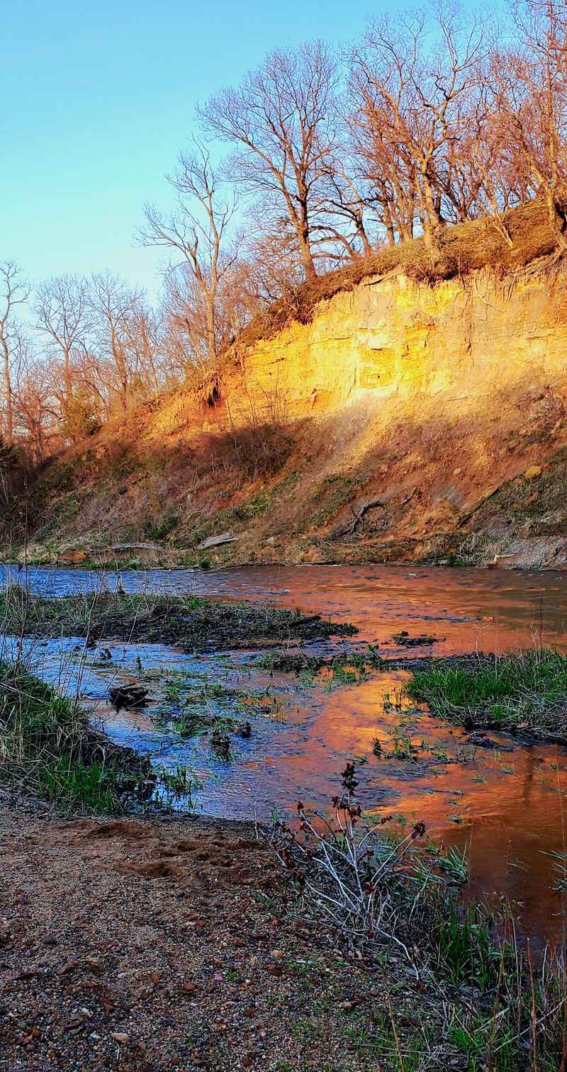 Paddle The Middle Raccoon River