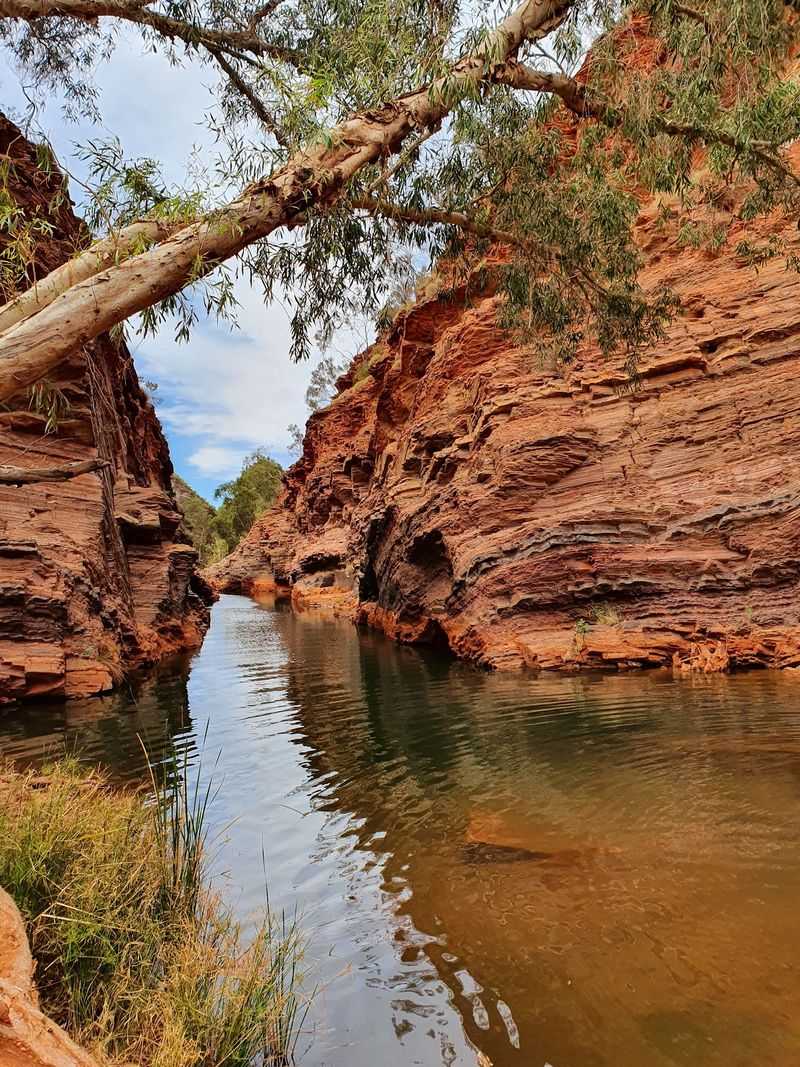 Paddleboards in a Tiny River Paddleboards in a Tiny River