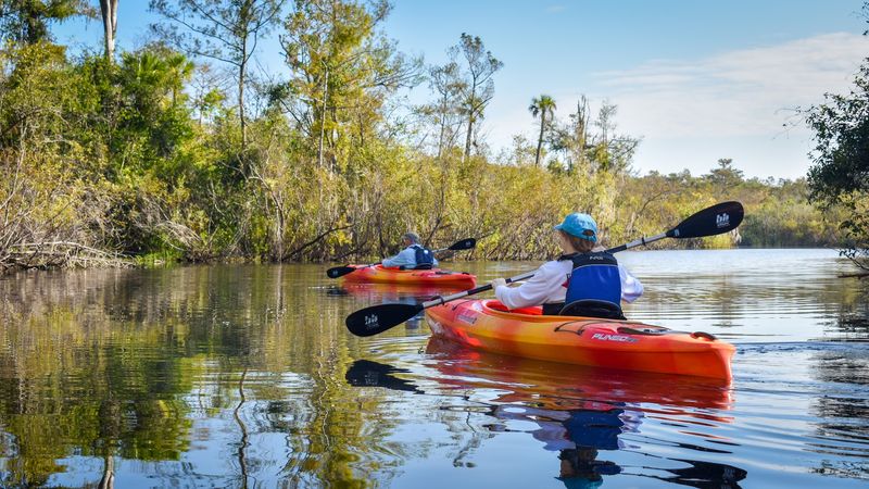 Paddling Through the Everglades, Florida, Homestead and Everglades City, Florida