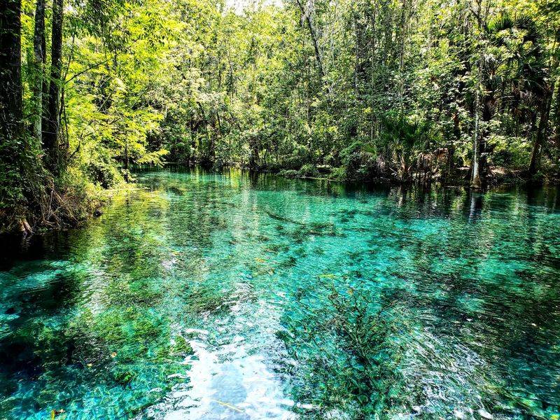 Paddling a River That Looks Like Liquid Glass Paddling a River That Looks Like Liquid Glass