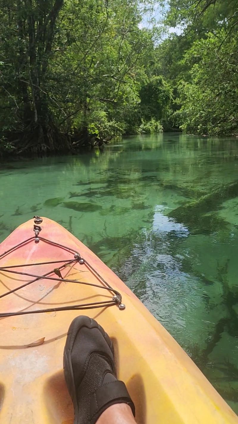 Paddling the Weeki Wachee River Paddling the Weeki Wachee River