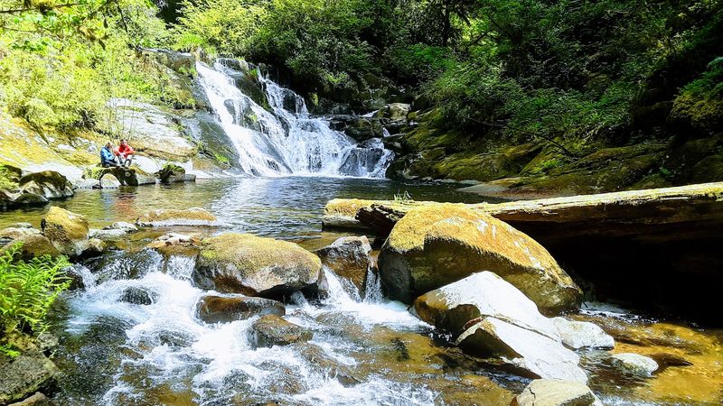 Pairing It With Sweet Creek Falls