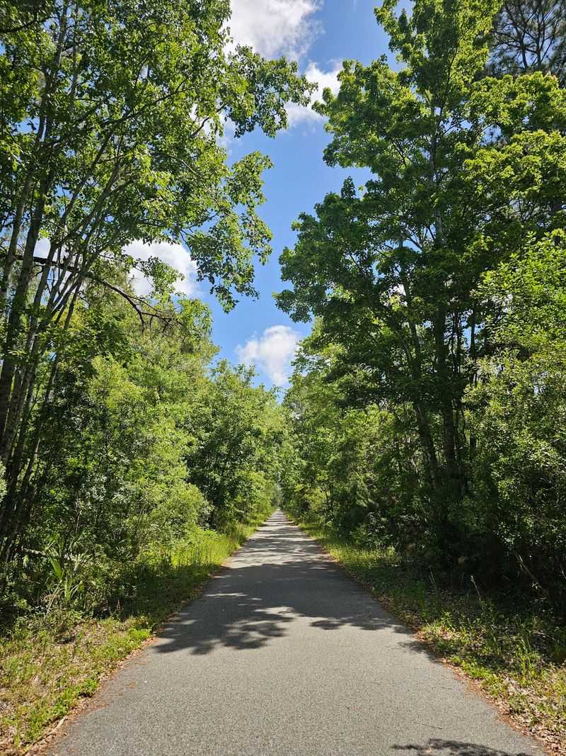 Palatka to Saint Augustine State Trail