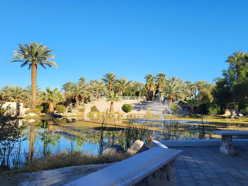 Palms, Fruit Trees and Tidy Grounds Palms, Fruit Trees and Tidy Grounds