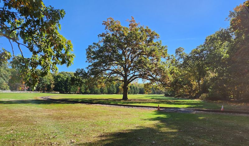 Park Grounds and a Picnic Pause