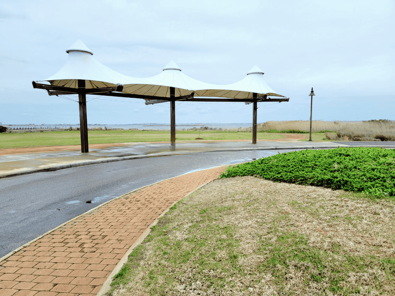 Parking, Shade, and Other Practical Tips Parking, Shade, and Other Practical Tips