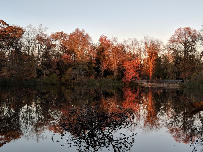 Parvin State Park, Pittsgrove, NJ