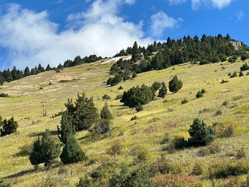 Path to the M Trail, Bozeman, Montana Path to the M Trail, Bozeman, Montana