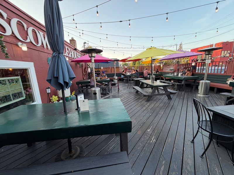 Patio Days and Dog-Friendly Evenings